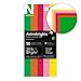 Wausau Astrobrights, 10 Envelope Assortment, Assortment, 1, 50 Count, 4.125 X 9.5 Inches (20248)