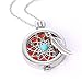 OrliverHL 1x Aromatherapy Essential Oils Necklace Fragrant Diffuser Locket Pendant
