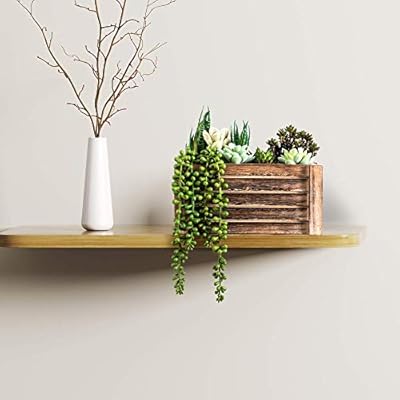 Artificial Succulents in Pots - Fake Succulent Plants, Artificial Plants for Home Decor Indoor, Faux Succulents for… 410zrgXDteL