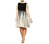 VIGVOG Women's Prom Sleeveless A-Line Paneled Plus-Size Black Fit & Flare Dress