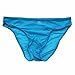 FEESHOW Men's Mesh Sheer Briefs See Through Underwear Blue One size