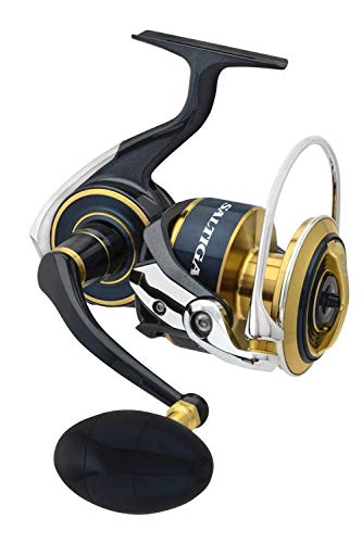 Daiwa Saltiga 2020 14000 Xh