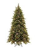 National Tree 6.5 Foot Frosted Berry Memory-Shape Tree with Cones, Red Berries, 600 Dual LED Lights with PowerConnect System and 9 Function Footswitch, Hinged (FRB3-302PD-65M)