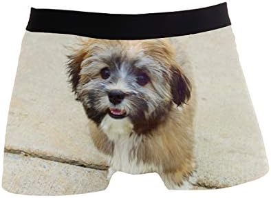 SHRGRGR Boxer Briefs Damask Black Flower Mens Underwear Polyester Spandex Pouch S-XL