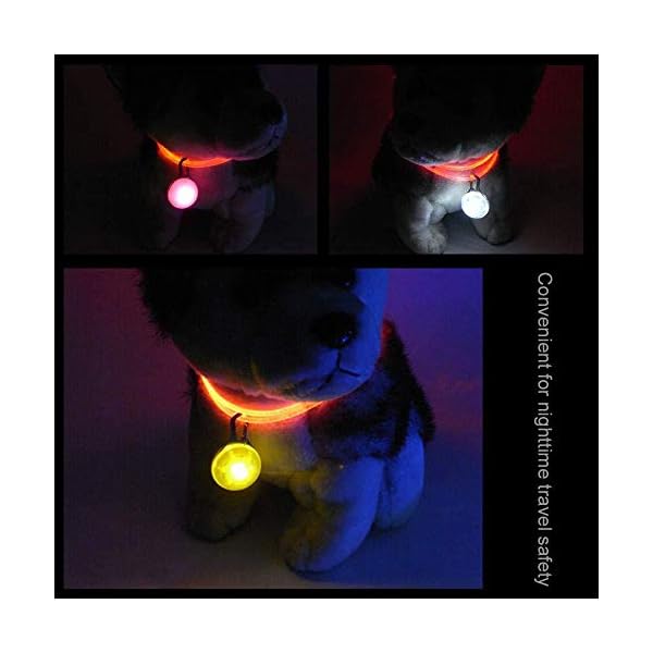 GOUSHENG collar Animali Domestici  Pet LED Pendant, 7 Pack Pet Collare Anti-Perso Light Up Collari per Cani Water Resistant Clip-On Dog Cat Collar Light - Safety Night Walking Lights Criceto per Cani