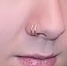 Fake Double Nose Ring