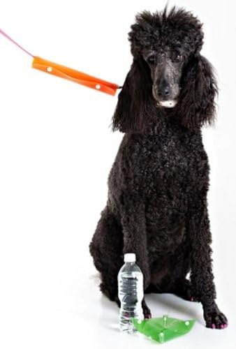Water Bowl Roll - Carry on Your Leash - Hot Pink Medium (9.4" x 9.4")
