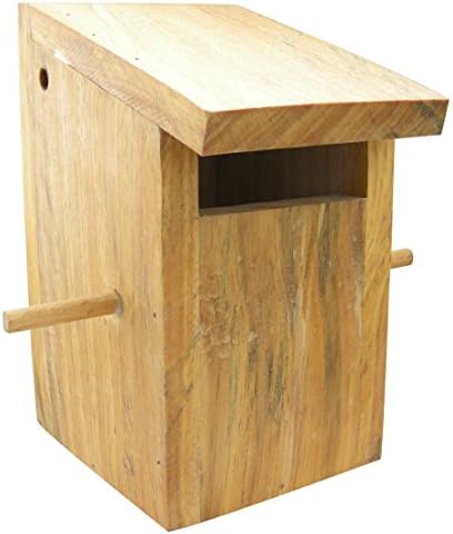 Birdhousebuilder Bluebird and Tree Swallow Nest Box Bird House