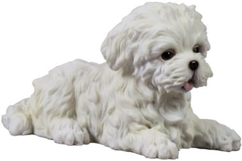 purchase maltese puppy