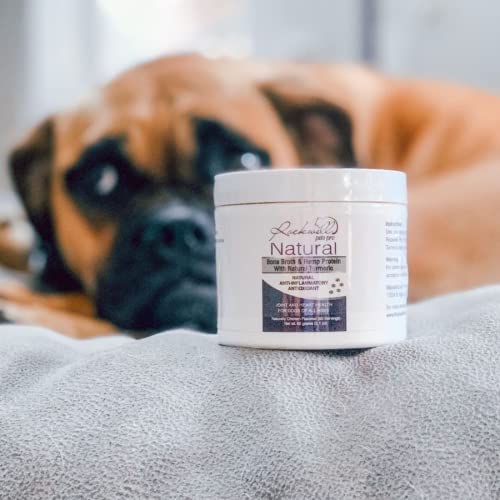 Natural Dog Bone Broth by Rockwell Pets Pro w Turmeric Powder, Omega 3