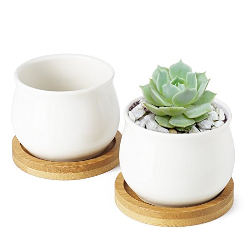 Greenaholics Succulent Plant Pots - 2.76 Inch Ceramic Round Container for Mini Succulents, Cactus, Small Flower Pots with Bamboo Trays, Set of 2, White - Thumbnail 2