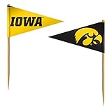 NCAA Iowa Hawkeyes ToothpicksToothpicks 36 Piece Pennant Style FanPicks, Team Colors, One Size