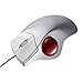 SANWA Wired Ergonomic Trackball Mouse, For PC Laptop Computer Macbook，Silver，MA-TB39S