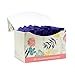 Instead 12 Hour Feminine Protection Cup 24 ea