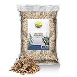 Long Fibered Sphagnum Peat Moss (4 Quarts), All
