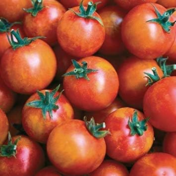 GEOPONICS 30 ISIS Cherry Tomato Seeds 2018