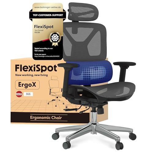 FLEXISPOT ErgoX Office Chair, 3D Armrests, Ergonomic Mesh Swivel Chair Height Adjustable with Headrest and Independent Lumbar Support, Grey