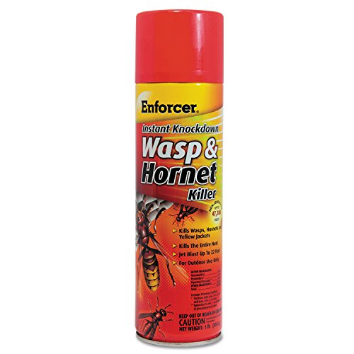 Enforcer 1045839 Enforcer Instant Knockdown Wasp and Hornet Killer, 16 oz., Aerosol (Pack of 12)