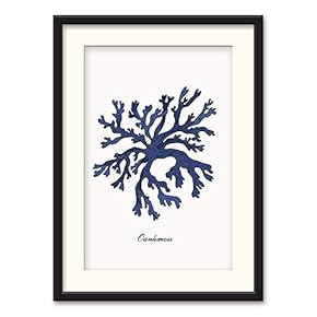 NWT Black Paper Framed Canvas Wall Art for...