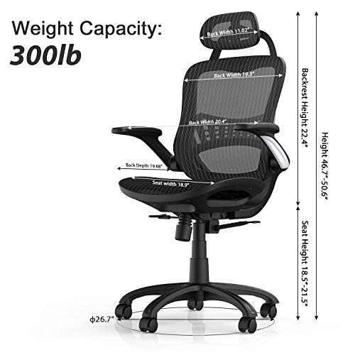 Ergousit Office Desk Chair with Ergonomic Back Support