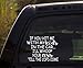 OhioDecals.com If You hit me with My Kids in The car/Funny Baby Kids Inside on Board Sticker Decal