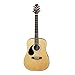 Starion 6 String ST-SW201 LH N Left Handed 3/4 Sized Dreadnought Acoustic Guitar-Natural