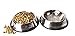 Gpet Stainless Steel Paw Design Dog Bowl with Rubber Base, Set of 2, 32 Ounce