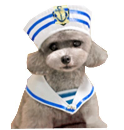 dog sailor suit