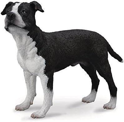 Collecta American Staffordshire Terrier Buy Online At Best Price In Uae Amazon Ae