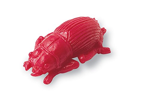 Learning Resources Backyard Bugs Counters - 72 Pieces, Ages 3+ Counting and Sorting Toys for Toddlers, Preschool Learning Toys