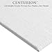 Centurion All-Media Primed Linen Panels - 16x20