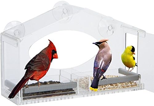 LARGE Clear Window Bird Feeder, 16" of Squirrel Resistant Perching Area, Heavy Duty, Removable Side Panels and Trays, Drain Holes.