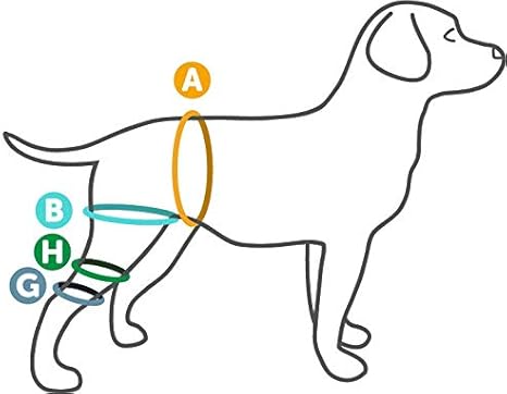 walkabout knee brace for dogs