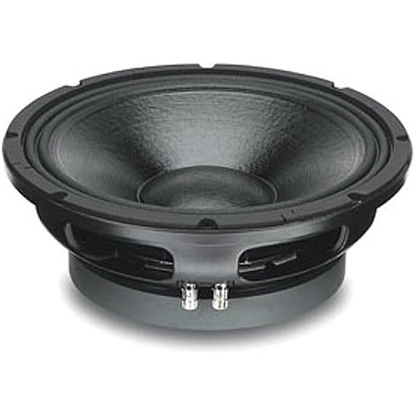 speaker 12 inch mid low
