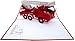 LIN - Pop Up 3D Greeting Card 
