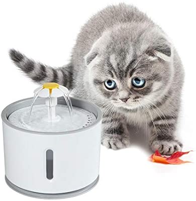 Aolvo Fontaine à Eau Pour Chat Et Chien Fleur Avec Filtre Et Led Lumineuse 6pcs 24l Fontaine De Filtre Silencieuse Pompe à Eau Distributeur De Leau