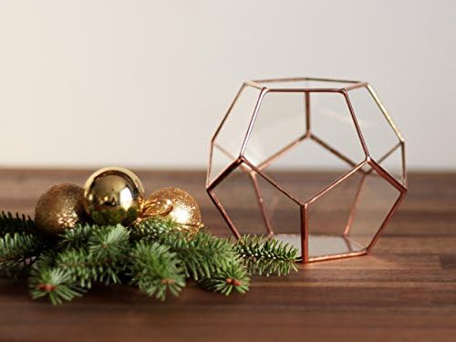 Clear Glass Geometric Terrarium Container | Modern Planter for Indoor Gardening | Gift for Gardener | Dodecahedron | Wedding Decor | Table Centerpiece | Valentine's Day Gift (Copper, Silver, Black)