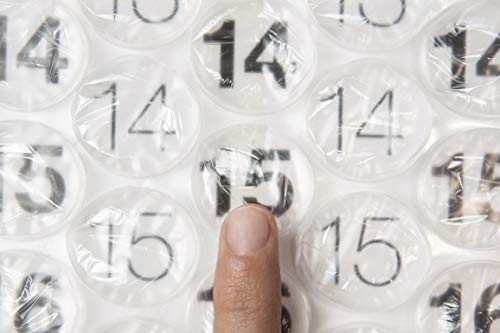 Bubble-Wrap-Calendar-A-Poster-Sized-Wall-Calendar-with-a-Bubble-to-Pop-Everyday