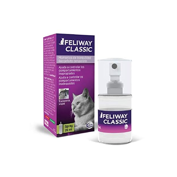 FELIWAY-Classic-20ml-Spray-comforts-cats-and-helps-solve-behavioural-issues-in-the-home-and-on-the-move-20ml FELIWAY Classic 20ml Spray, comforts cats and helps solve behavioural issues and stress/anxiety in the home and on the…