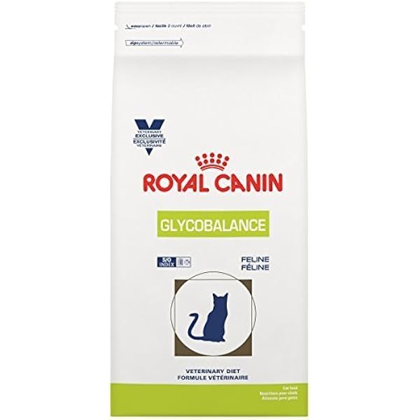 Royal Canin Feline Diabetic Wet Food 2025