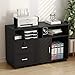 Tribesigns Wood File Cabinet, 2 Drawer Storage Printer Stand, Mobile Lateral Filing Cabinet with Locks and Wheels, Open Storage Shelves for Study, Home Office (Black)