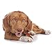 Cadet Gourmet Duck Breast Jerky Dog Treats, Healthy, Long-Lasting High-Protein Training Treats for Small & Large Dogs, 28 oz.