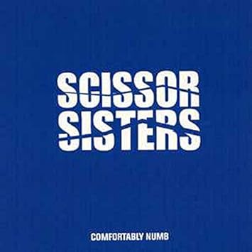 Scissor Sisters Comfortably Numb Fatboy Extended Mix Album