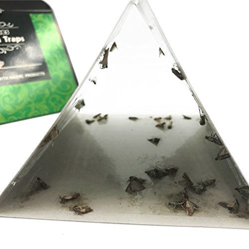 Pantry Moth Traps, Eco-friendly Glue Safe Kitchen Closet Moth Pheromone Attractant Catch (6 Traps) - Thumbnail 5