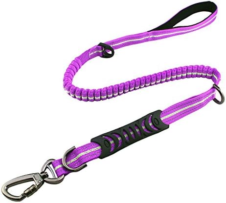 MEIKAI Bungee Dog Leash Chrome Metal Lock Reflective Nylon Pet Leash with 2 Handle and 3 Multifunction D Button Great for Walking, Hiking and Training (Purple)