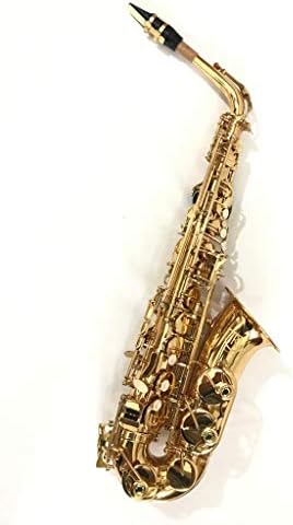Siko Alto Saxophone Brass Polish with case