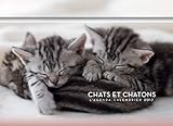 L'agenda-calendrier Chats & Chatons 2017 (French Edition) by