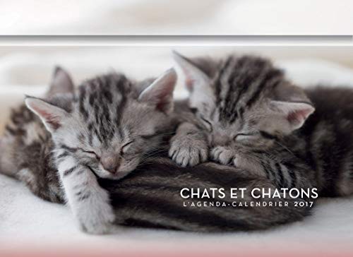 L'agenda-calendrier Chats & Chatons 2017 (French Edition) by Collectif
