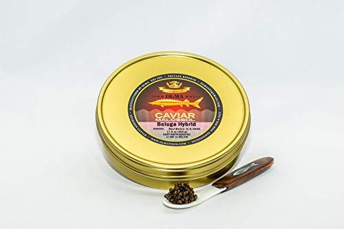 Caviar Hibrido De Esturion Beluga Caviar Negro Clasificado Superior En El Mundo Exclusivamente De Olma 17 6 Oz 500 G De Metal Estano Amazon Com Grocery Gourmet Food