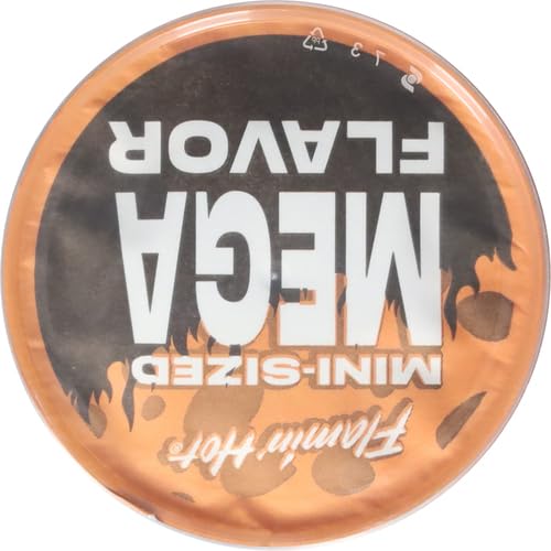 MINIS CHEETOS CANISTER – FLAMIN’ HOT BITES